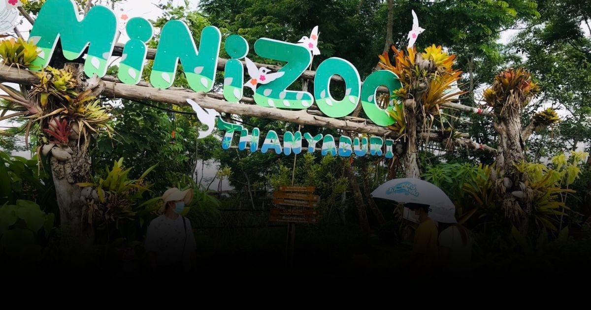 “Mini Zoo ธัญบุรี” ปิดให้บริการ 1 ส.ค. 66 เตรียมสร้าง “สวนสัตว์แห่งใหม่”