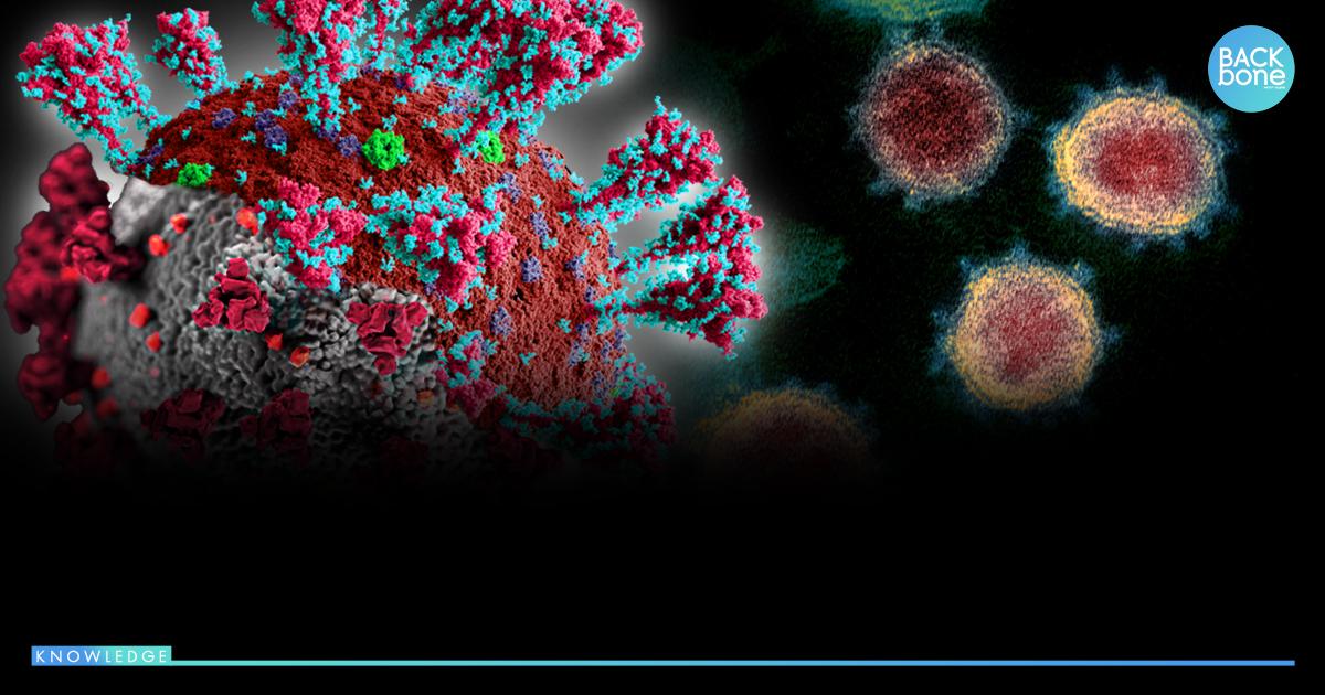 ศูนย์จีโนมฯ เผย..โอไมครอนพันธุ์ใหม่ จ่อแซง “BA.5” เอเชียระบาดแล้ว 59%