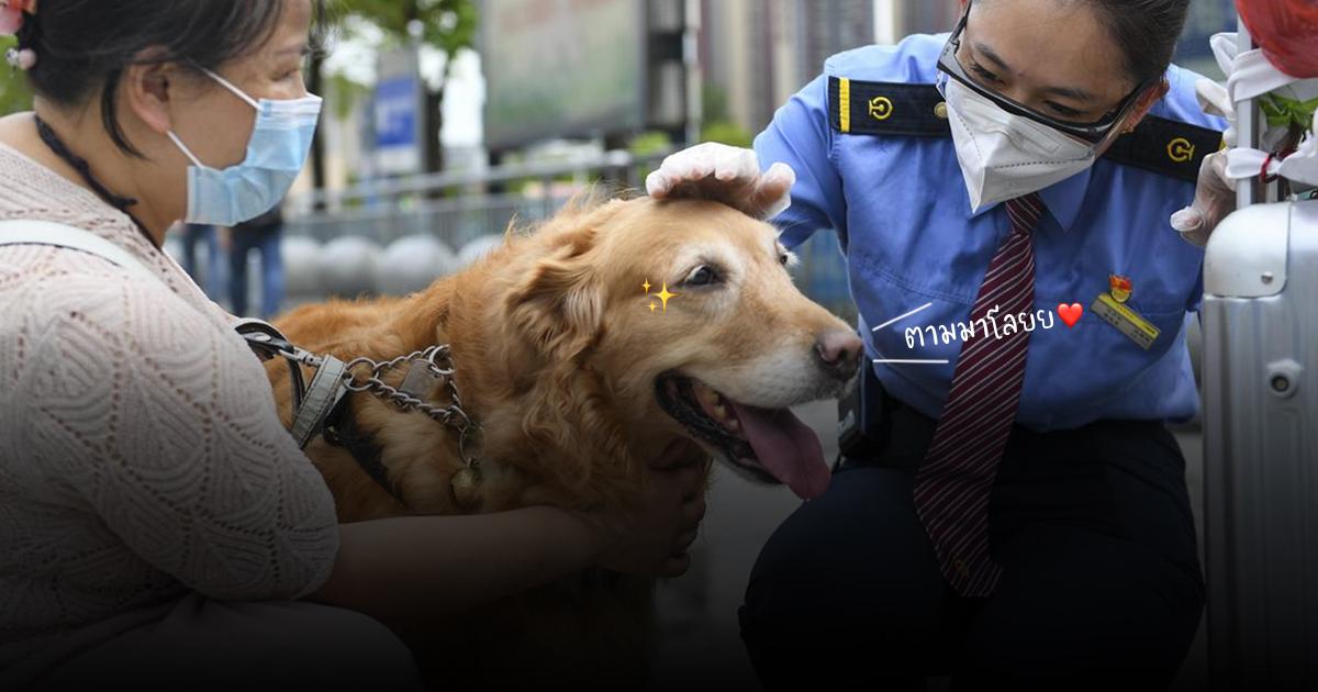 ทริปท่องเที่ยวของน้องหมาแสนรู้นักนำทางและผู้พิการทางสายตา