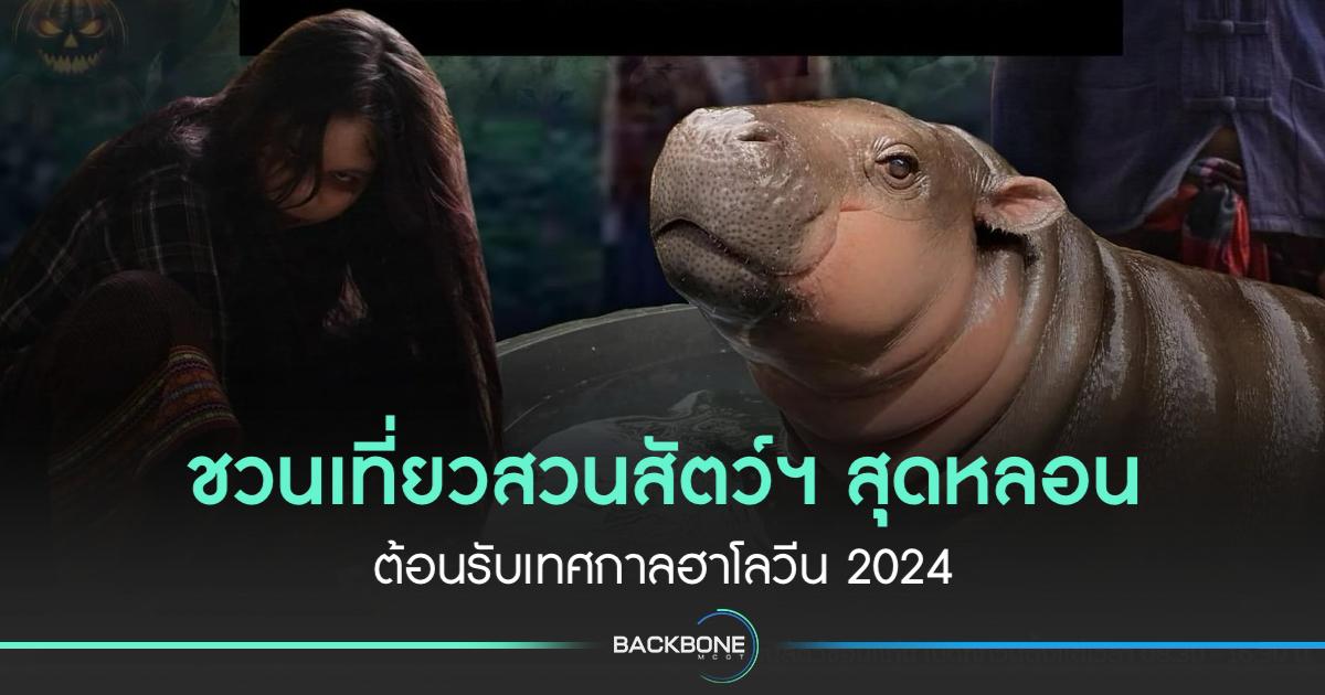 ZPOT เที่ยวสวนสัตว์ฯต้อนรับเทศกาลฮาโลวีน Halloween 2024