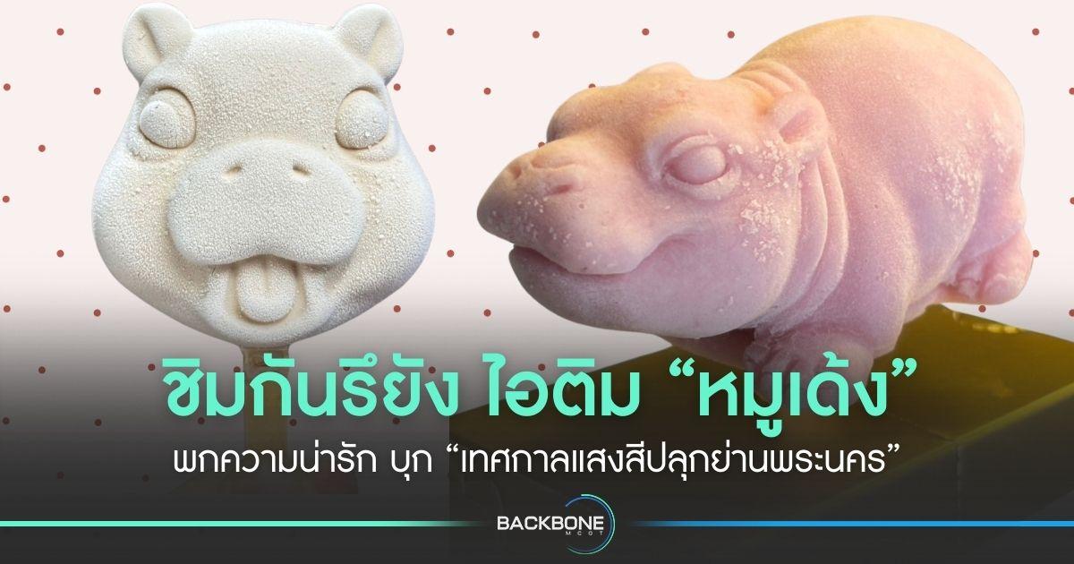 ชิมกันรึยัง ไอติม “หมูเด้ง” พกความน่ารัก บุกเทศกาลแสงสีปลุกย่านพระนคร