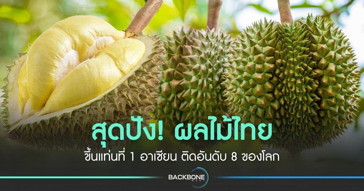 สุดปัง! ผลไม้ไทย ขึ้นแท่นที่ 1 อาเซียน ติดอันดับ 8 ของโลก