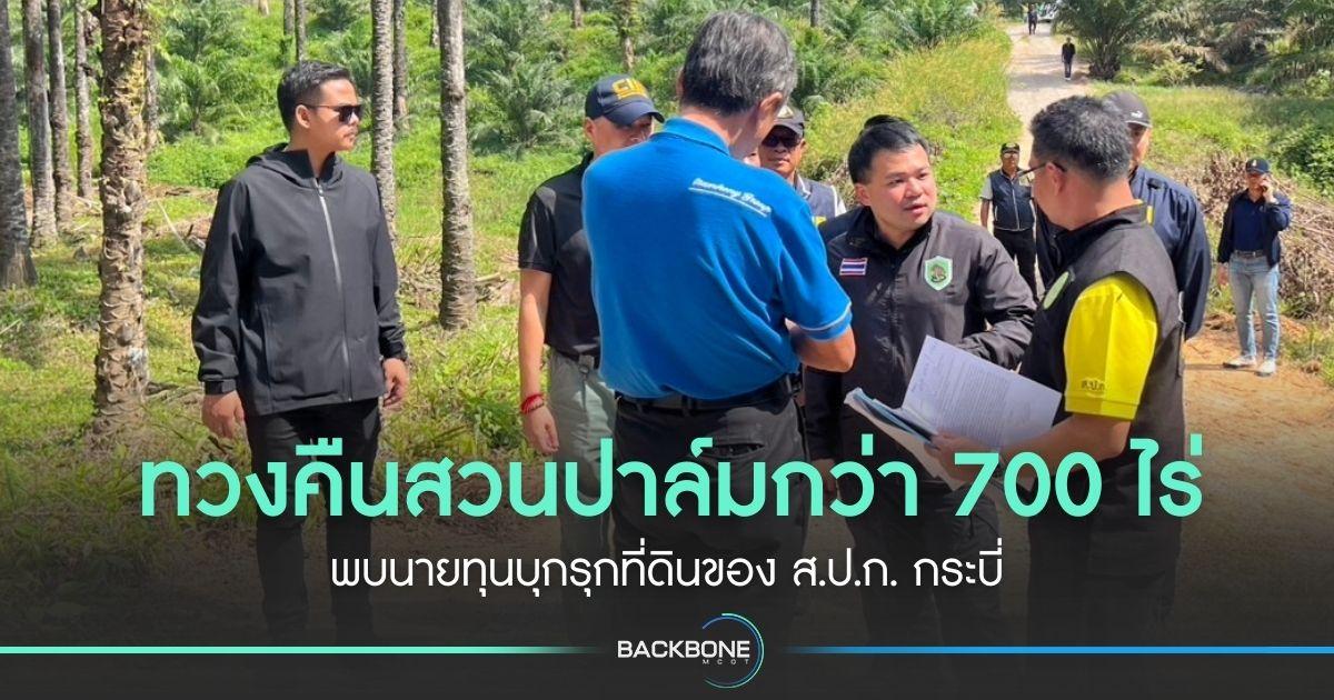 ทวงคืนสวนปาล์มกว่า 700 ไร่ พบนายทุนบุกรุกที่ดินของ ส.ป.ก. กระบี่