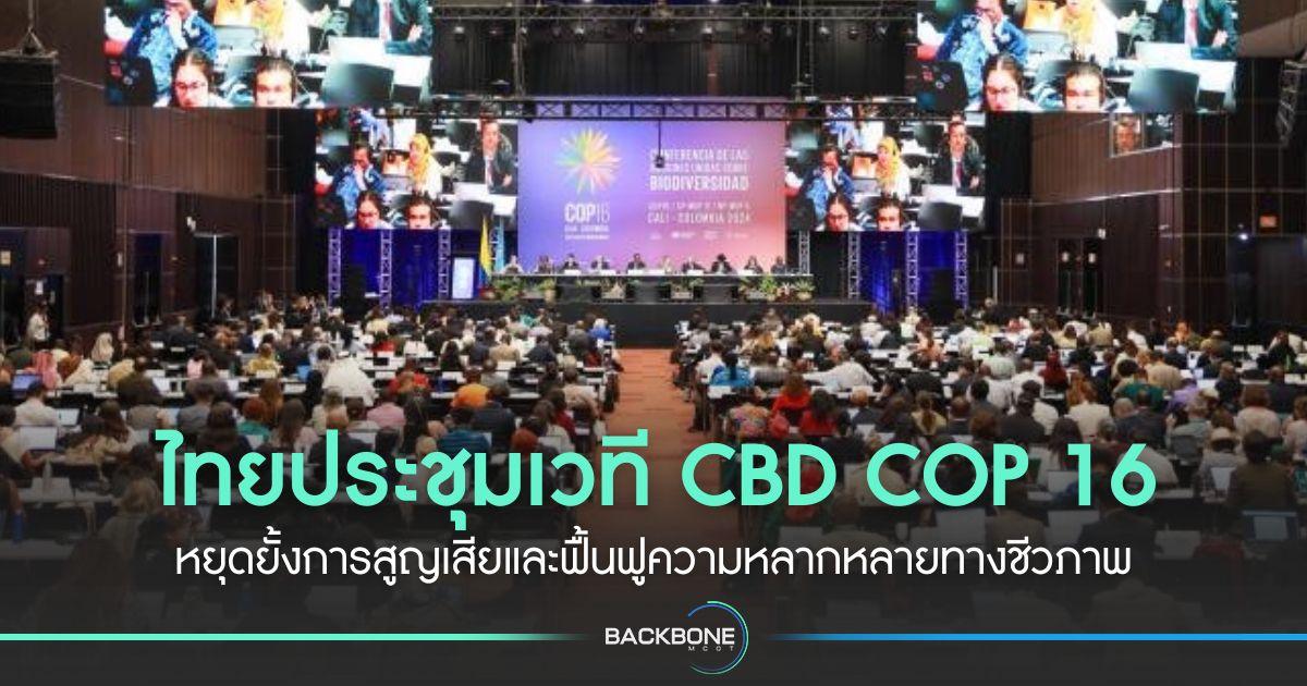 ไทยประชุมเวที CBD COP 16 หยุดยั้งการสูญเสียและฟื้นฟูความหลากหลายทางชีวภาพ